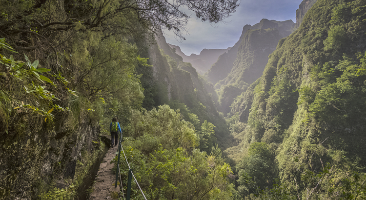 Portugal Madeira Levada do Caldereirao Verde Wanderung Visit Madeira/Correia