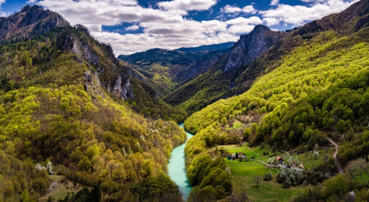 Montenegro Tara Schlucht Foto iStock Toma Paunovic
