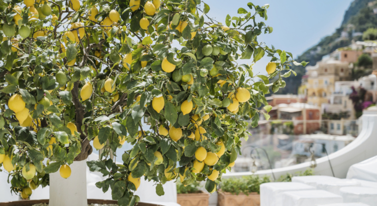 Italien Amalfi Positano