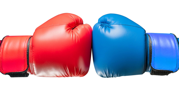 Boxhandschuhe