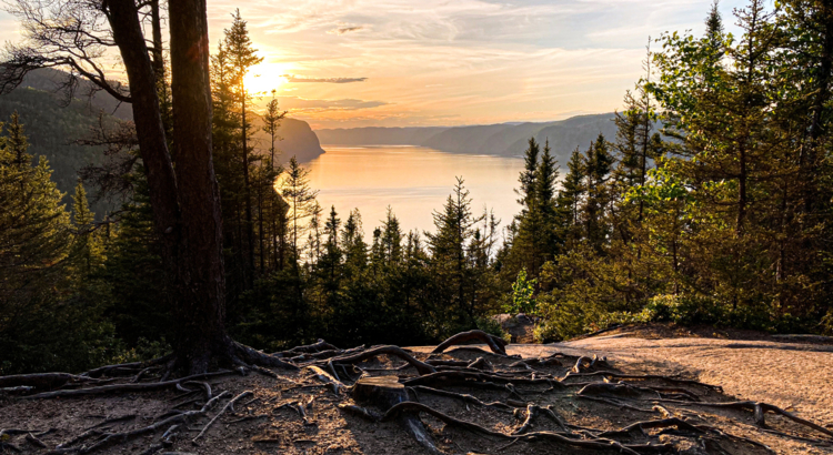 Kanada Quebec Fjord du Saguenay Nationalpark iStock Marc-Antoine Bal.jpg