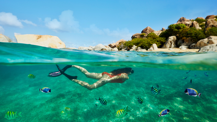 NCL Landausfl&uuml;ge tortola-virgingorda-snorkeling-b-6210.jpg